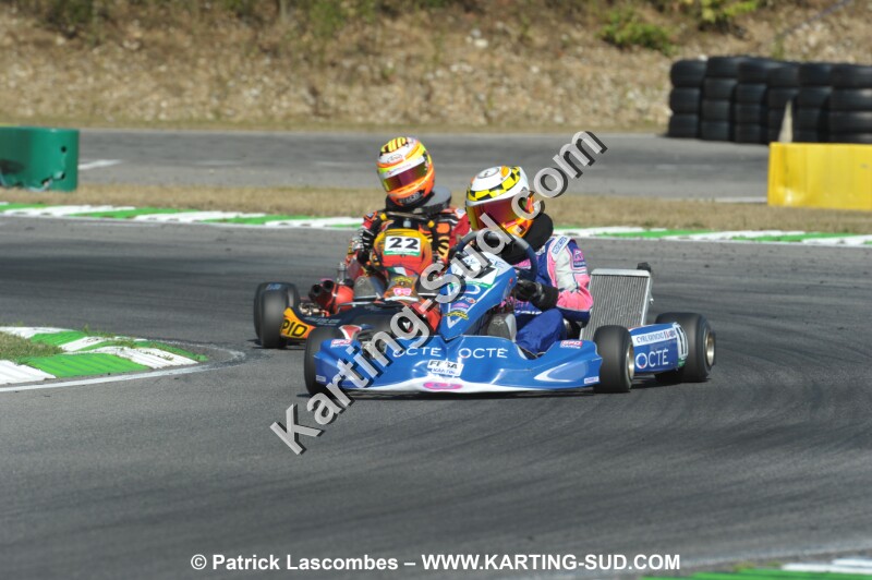 DSC_ (1110).JPG